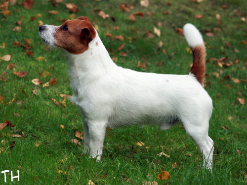090916 arska.jpg - Arska